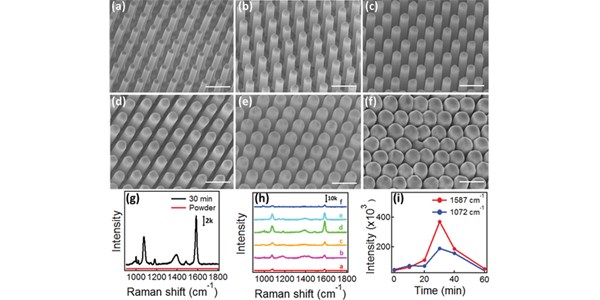 Superplastic Nanomolding of Highly Ordered Metallic Sub-Micrometer Pillars Arrays for Surface Enhanced Raman Scattering