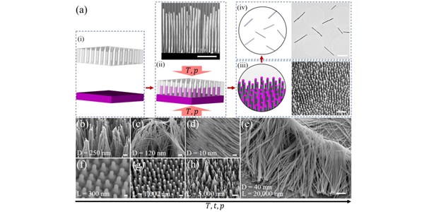 General Nanomolding of Ordered Phases