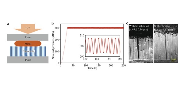 Observation of speeding growth of metal nanowires by ultra-low frequency micro-vibration assisted superplastic nanomolding